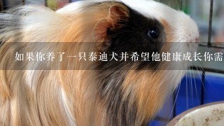 如果你养了一只泰迪犬并希望他健康成长你需要注意什么饮食方面的事项呢？