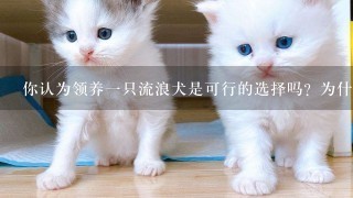 你认为领养一只流浪犬是可行的选择吗？为什么？