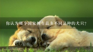 你认为哪个国家拥有最多不同品种的犬只？