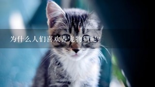 为什么人们喜欢养宠物猫呢？