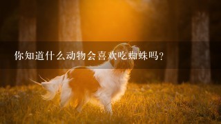 你知道什么动物会喜欢吃蜘蛛吗？