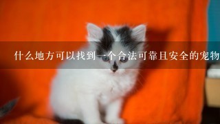 什么地方可以找到一个合法可靠且安全的宠物猕猴养殖基地？