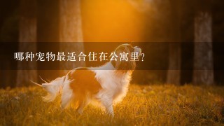 哪种宠物最适合住在公寓里？