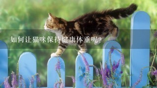 如何让猫咪保持健康体重呢