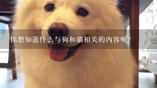 你想知道什么与狗和猫相关的内容呢