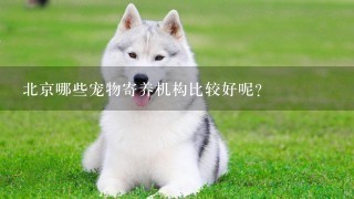 北京哪些宠物寄养机构比较好呢
