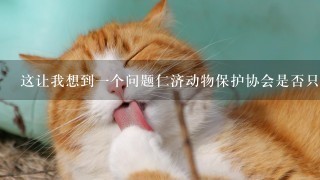 这让我想到一个问题仁济动物保护协会是否只关注狗和猫作为宠物吗