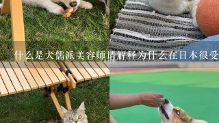 什么是犬儒派美容师请解释为什么在日本很受欢迎