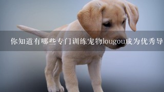 你知道有哪些专门训练宠物lougou成为优秀导盲犬和助听犬的工作所采取的方法吗