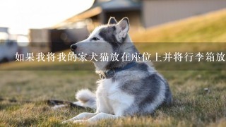 如果我将我的家犬猫放在座位上并将行李箱放入行李舱内那么他们是否可以与您一起进行活动