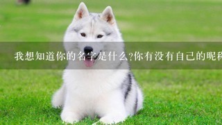 我想知道你的名字是什么你有没有自己的昵称呢