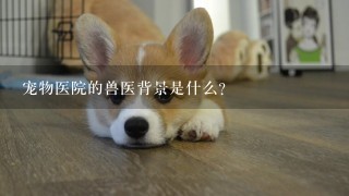 宠物医院的兽医背景是什么?