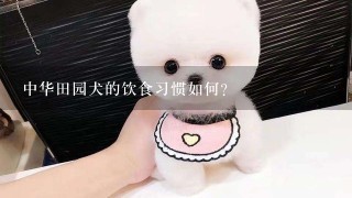 中华田园犬的饮食习惯如何?