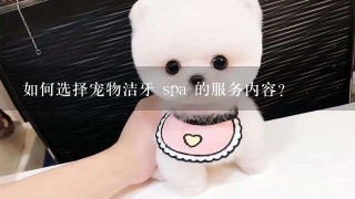 如何选择宠物洁牙 spa 的服务内容?