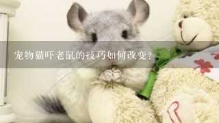 宠物猫吓老鼠的技巧如何改变?