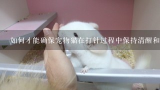 如何才能确保宠物猫在打针过程中保持清醒和清醒?