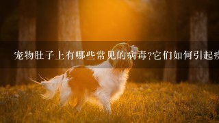 宠物肚子上有哪些常见的病毒?它们如何引起疾病?